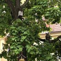 Отзыв о экскурсии "Свидание с Вильнюсом каждый день" — фото 6