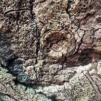Фото отзыва 3: экскурсия "Сочи с разных ракурсов: Ахштырская пещера + Скайпарк"