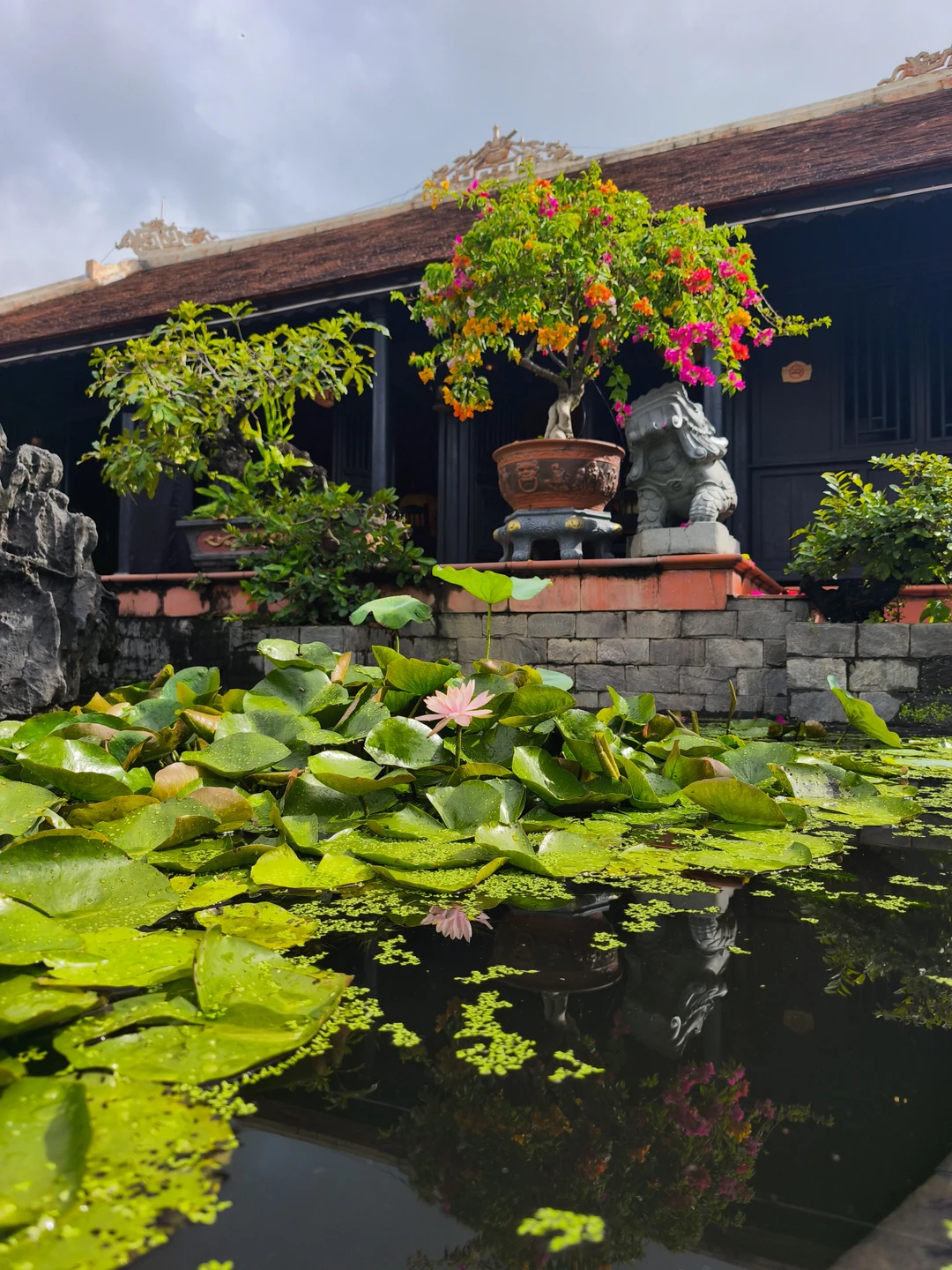 Обзорная экскурсия по Нячангу с Сергеем - наше первое знакомство с замечательной и колоритной страной Вьетнам.