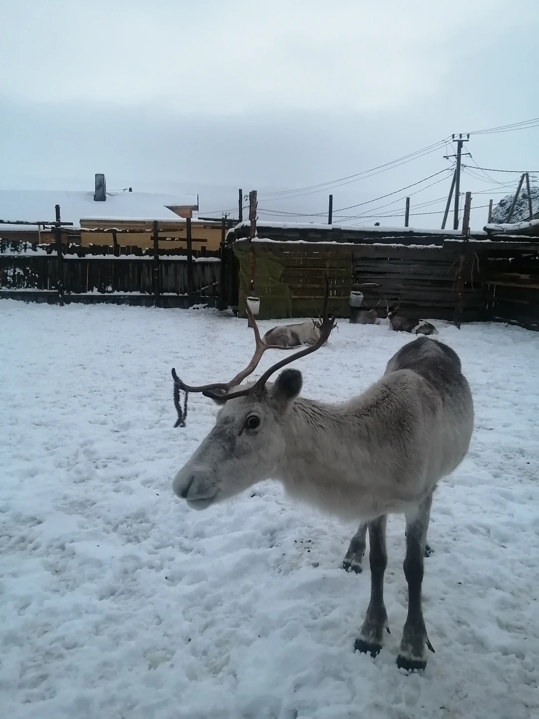 Здравствуйте!