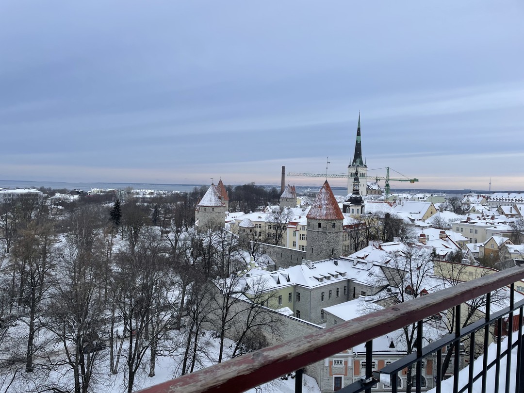 Таллин сквозь столетия (Мила)