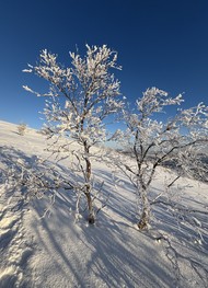Фото отзыва 2: экскурсия "Нетуристический Мурманск&nbsp;— в&nbsp;мини-группе и&nbsp;в&nbsp;формате «всё включено»"