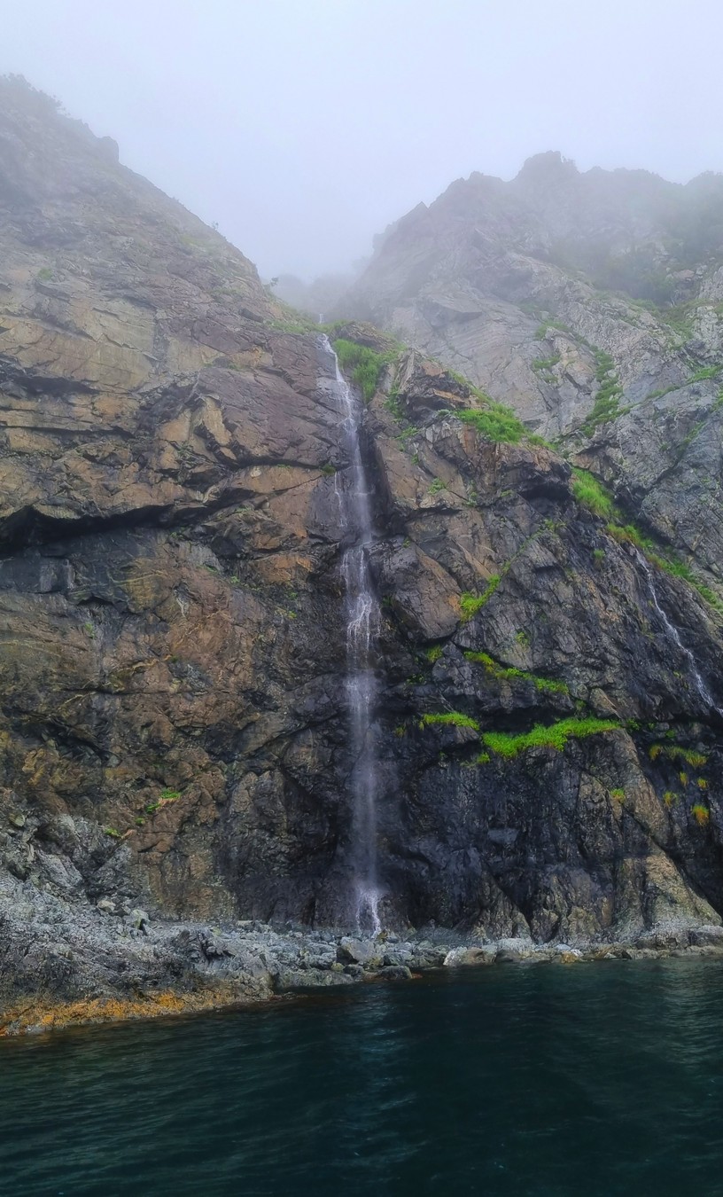 Из Владивостока на авто и катере — к тюленям! (20/23)