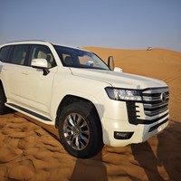 Фото отзыва 2: экскурсия "Сафари в Дубае: магия заката в пустыне без кемпов и шоу-программ"