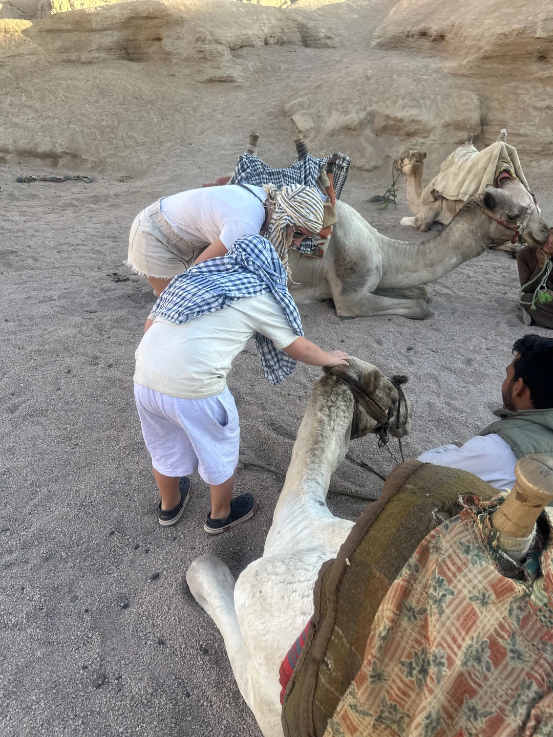 Очень хорошая организация, поездка впечатлила, атмосферно, но очень мало по времени, нам не хватило. Лучше брать