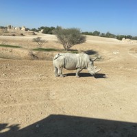 Фото отзыва 3: экскурсия "Из Абу-Даби — в Аль-Айн"