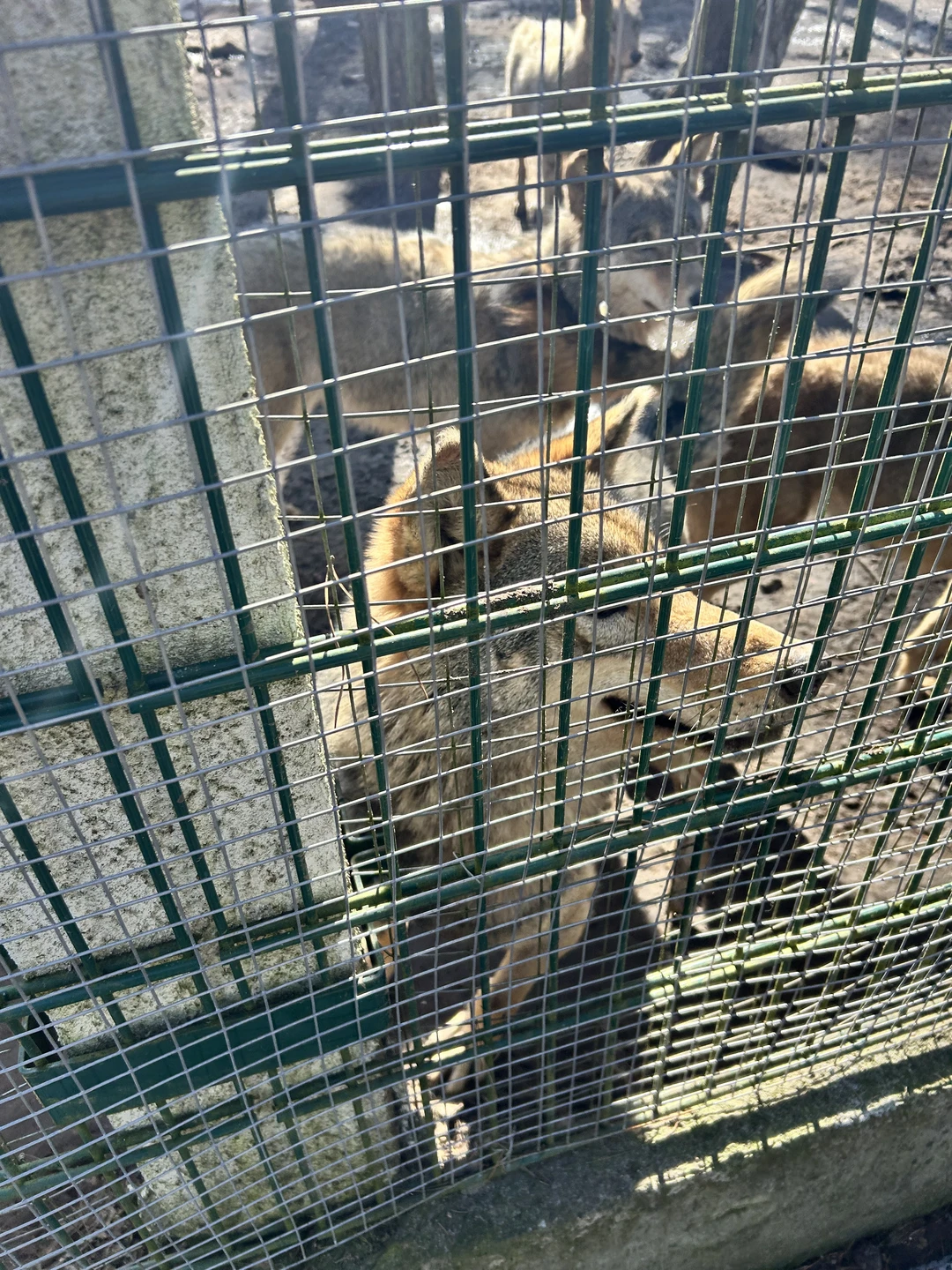 Великолепная экскурсия!