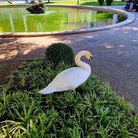 Фото отзыва 1: экскурсия "Нетривиальный Стамбул: Босфор, Кадыкёй и Долмабахче"