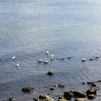 Фото отзыва 3: экскурсия "Путешествие по пляжам Балтийского моря для интровертов"