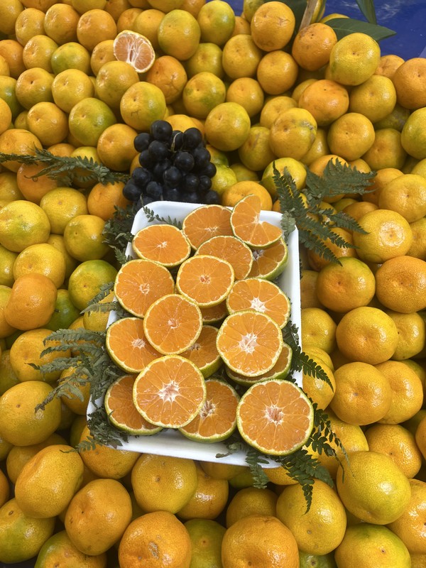 Виды Стамбульские базары: вкус, цвет и жизнь города