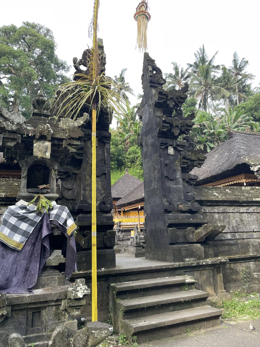 Всем добрый день! Сегодня мы с мамой были на экскурсии «Все краски Бали» с Густи! Хочется