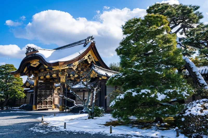 Фото отзыва 1: авторский тур "На Новый год в Страну восходящего солнца: архитектура, кухня, традиции"