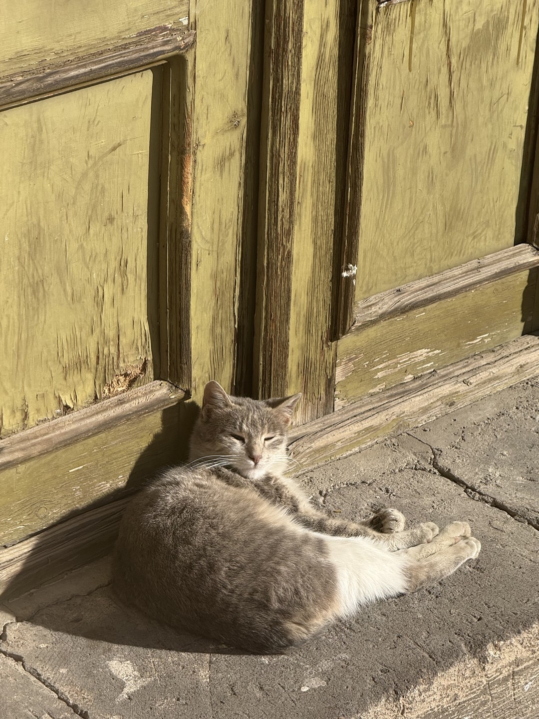 Все грани Еревана: путешествие во времени (Елизавета)