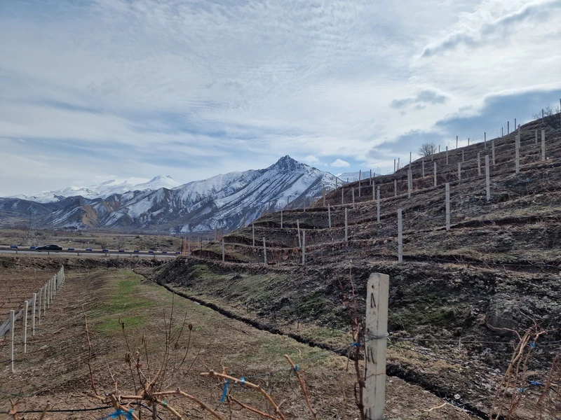 Отличное путешествие! Нашим гидлм был Артур, много рассказал, показывал много интересного. Птешествие оч комфортное на отличном