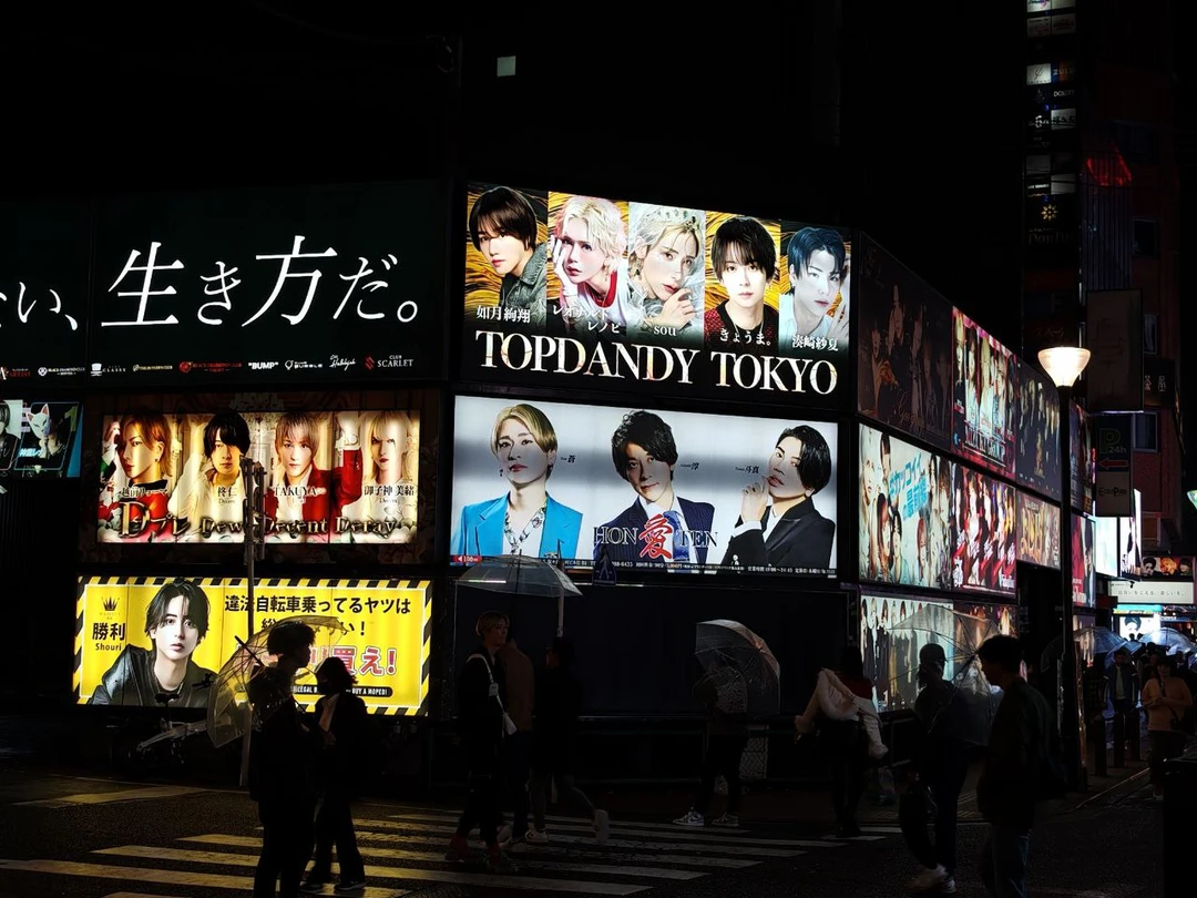 Тёмные аллеи Токио (18+) (Татьяна)