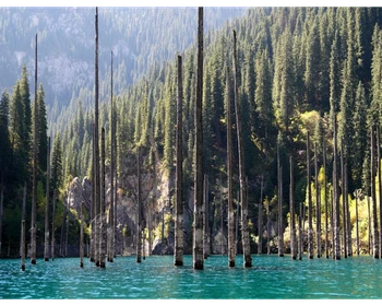 Озёра Кольсай и Каинды