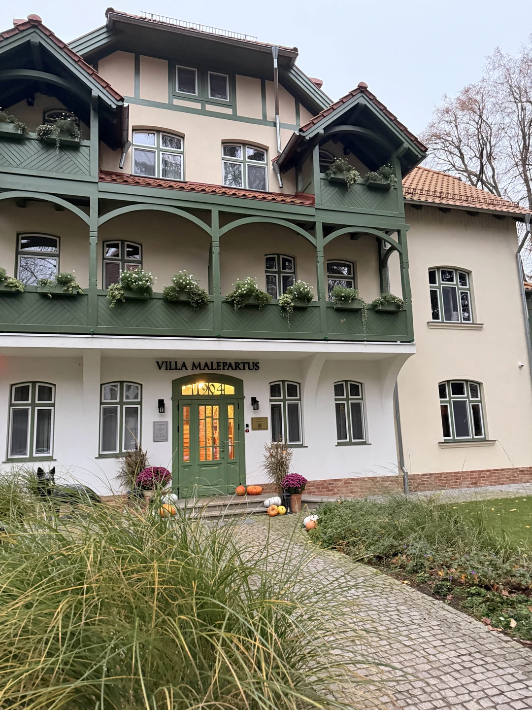 Вчера я побывала на экскурсии «Самый медленный город России: прогулка по Светлогорску» от Tripster — и