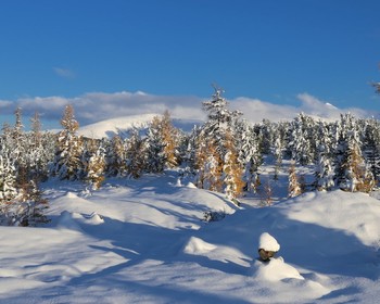 На снегоходах через Кузуяк и каньон Аккеме