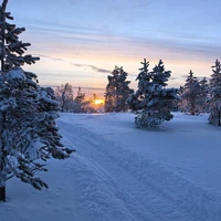 Фото отзыва 2: экскурсия "Фотоэкспедиция «Сказка Южного Заполярья»"