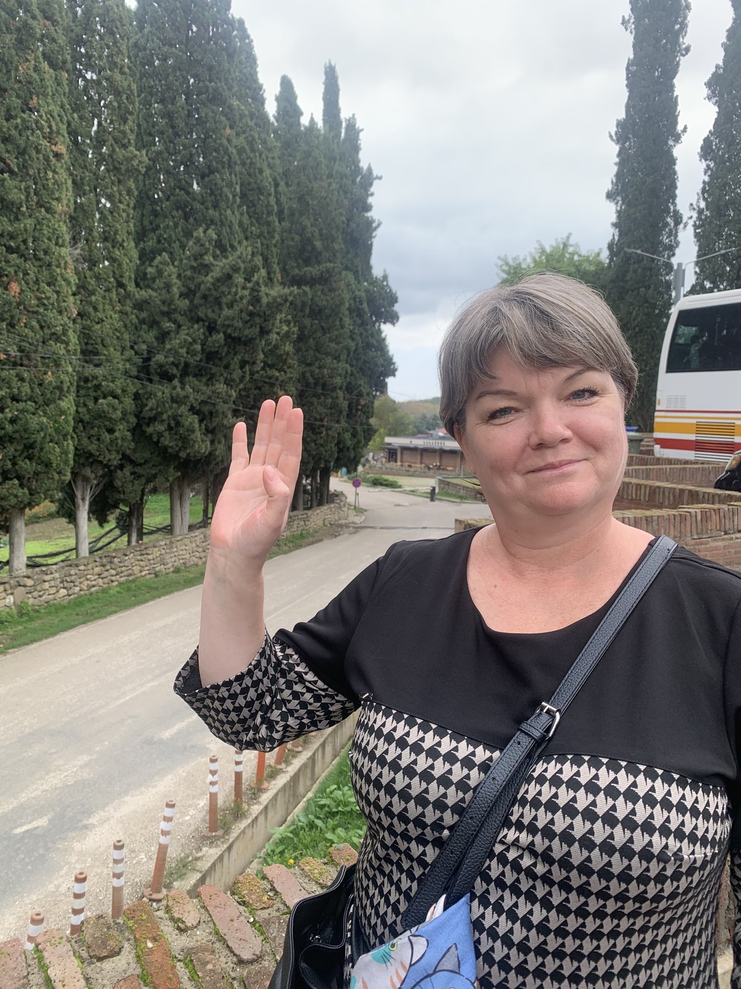 Наша поездка в Кахетию с очаровательным гидом Георгием прошла просто на ура! Экскурсия очень интересная, познавательная!