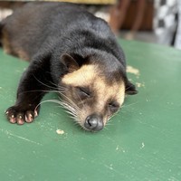 Фото отзыва 4: экскурсия "Влюбиться в&nbsp;волшебный Бали за&nbsp;1 день"