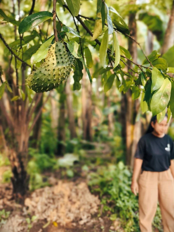 Кулинарный мастер-класс на экоферме в Убуде