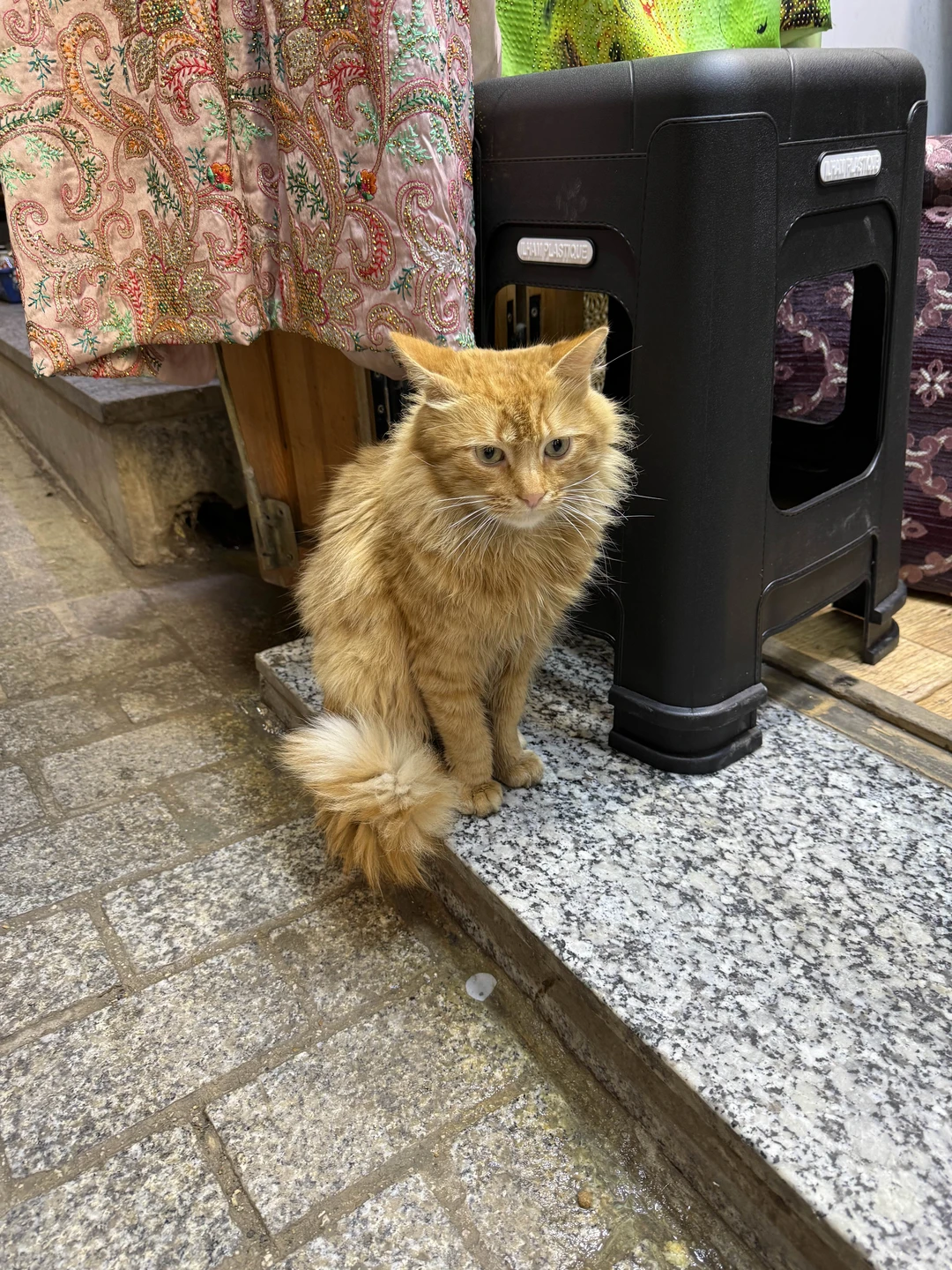 Это было незабываемо!!! Вы не пожалеете, если возьмете этот тур