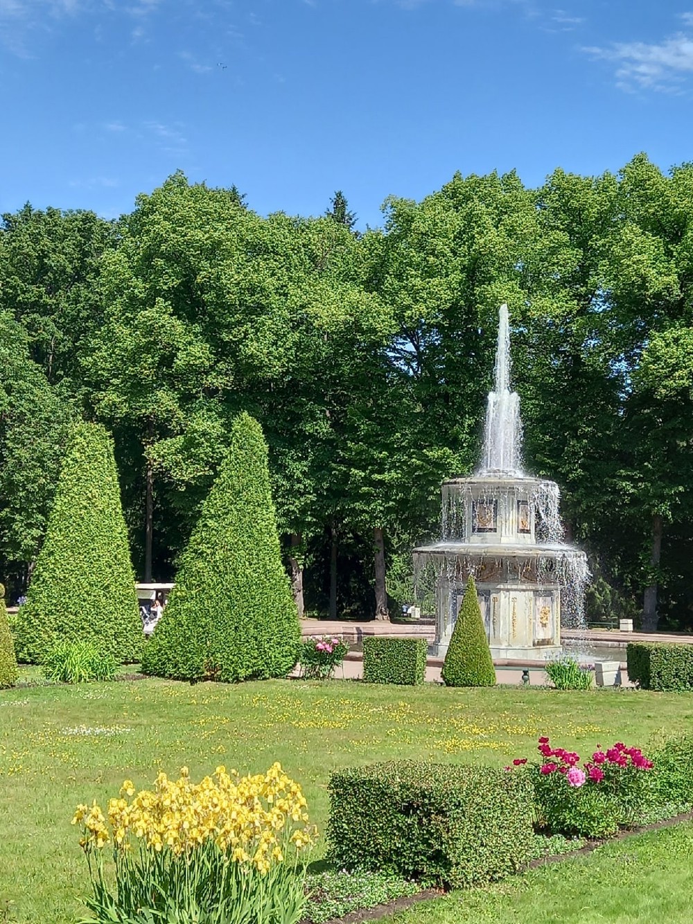 Фото Два знаменитых парка Петергофа за 1 день