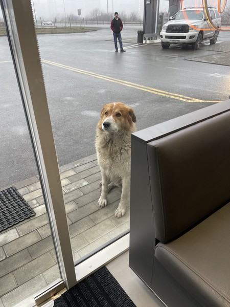 Конечно, все впечатления не уместить в один отзыв. Очень насыщенная, информативная экскурсия от знающего человека -