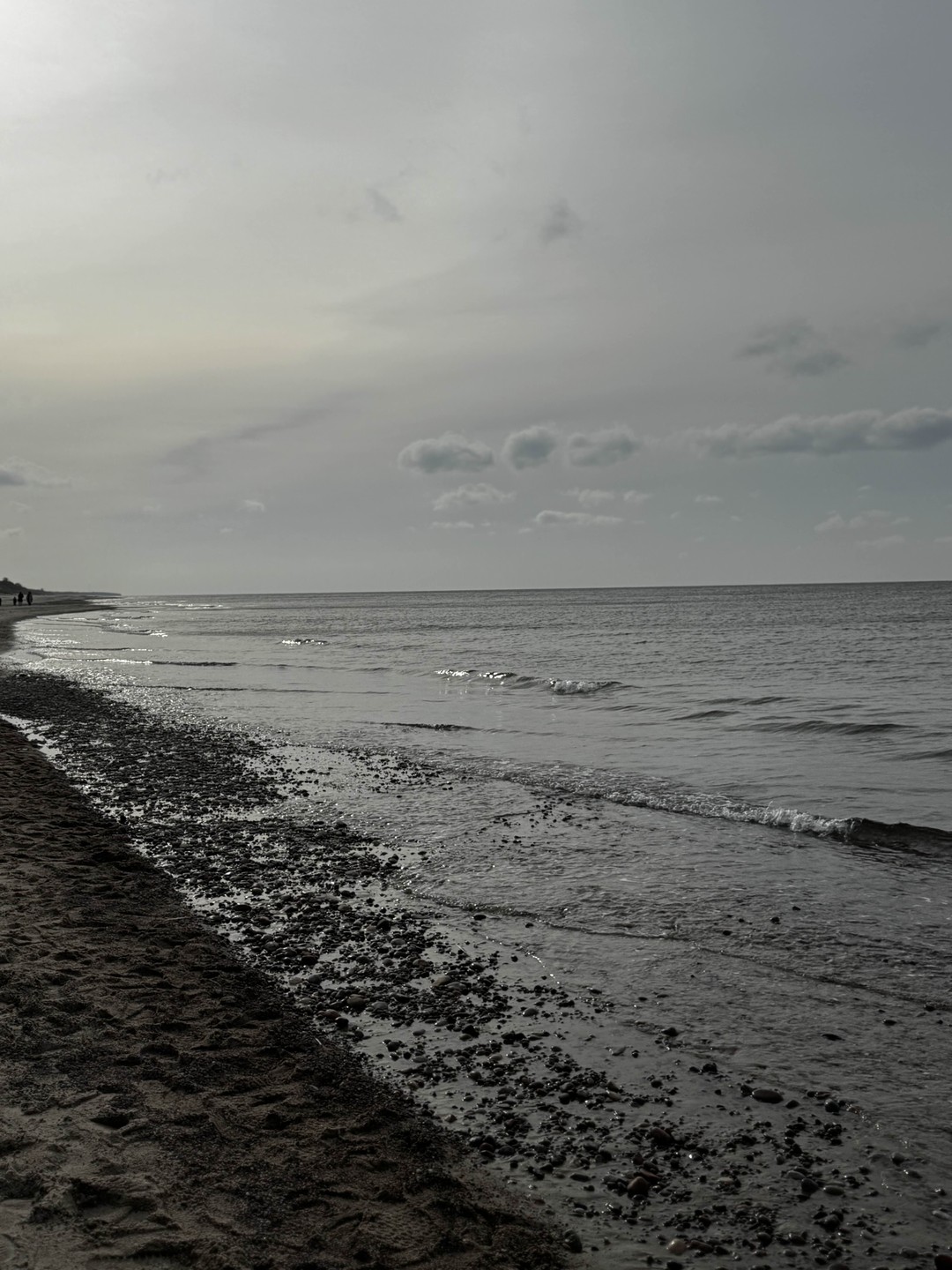 Прекрасный насыщенный тур по Калининграду и областным городам, от которых мы, как туристы, пришли в не