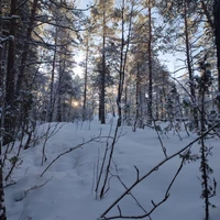 Фото отзыва 1: экскурсия "Прогулка по Ладожским шхерам на аэролодке"