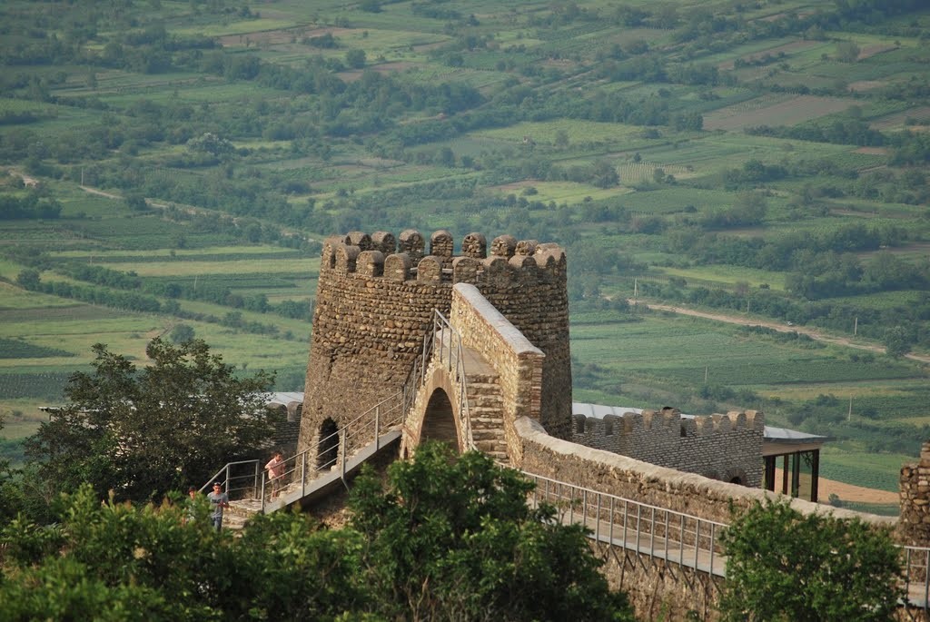 Алазанская долина — старинный край виноградарства (11/11)