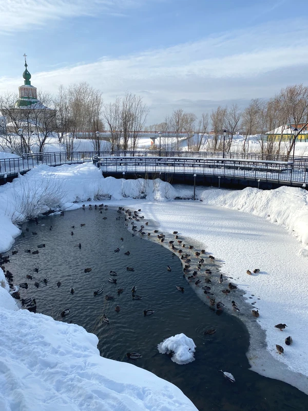 А в чём же соль? Из Перми - в Соликамск