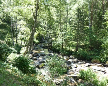 Город-курорт Белокуриха и сыроварня