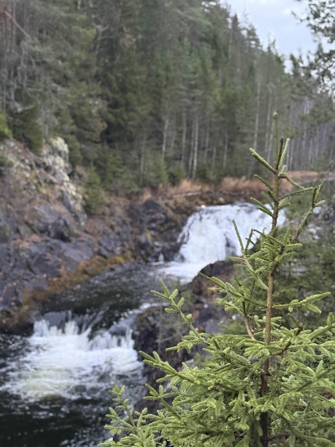 Нам с дочкой (13 лет) очень понравилась экскурсия! Вадим очень приятный человек, отличный рассказчик (знает и