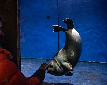 Байкальский музей, камень Черского, встреча Нового года