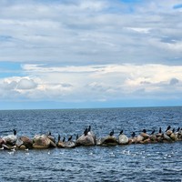 Фото отзыва 4: экскурсия "Старинные калининградские маяки"