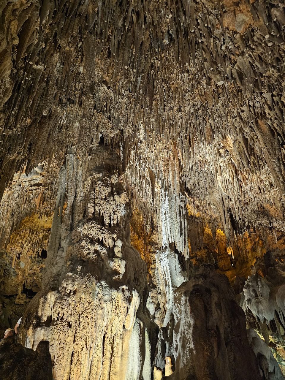 Прекрасно провели день, Фырат забрал нас из отеля и провел экскурсию по всем местам из описания