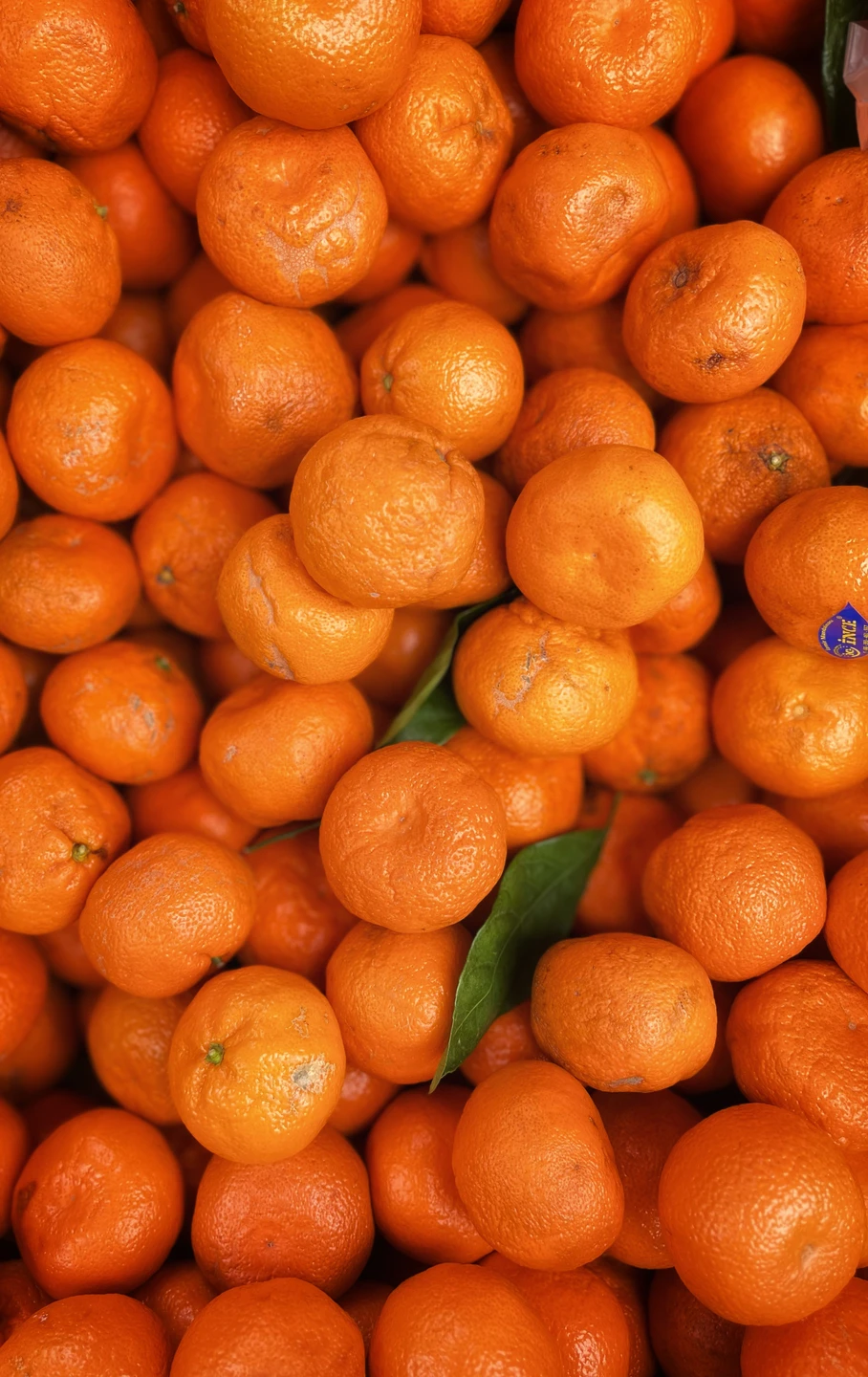 Добрый день! Выражаю свою благодарность гиду и команде организаторов. Прогулка прошла на высшем уровне. Такой контрастный