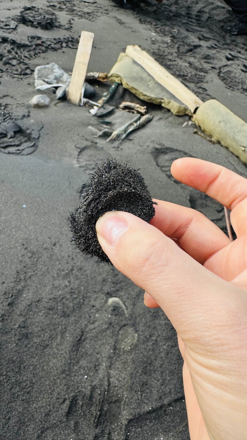 Дорогие организаторы экскурсии, примите пожалуйста нашу благодарность за прекраснейший день знакомства с потрясающей воображение природой Камчатки