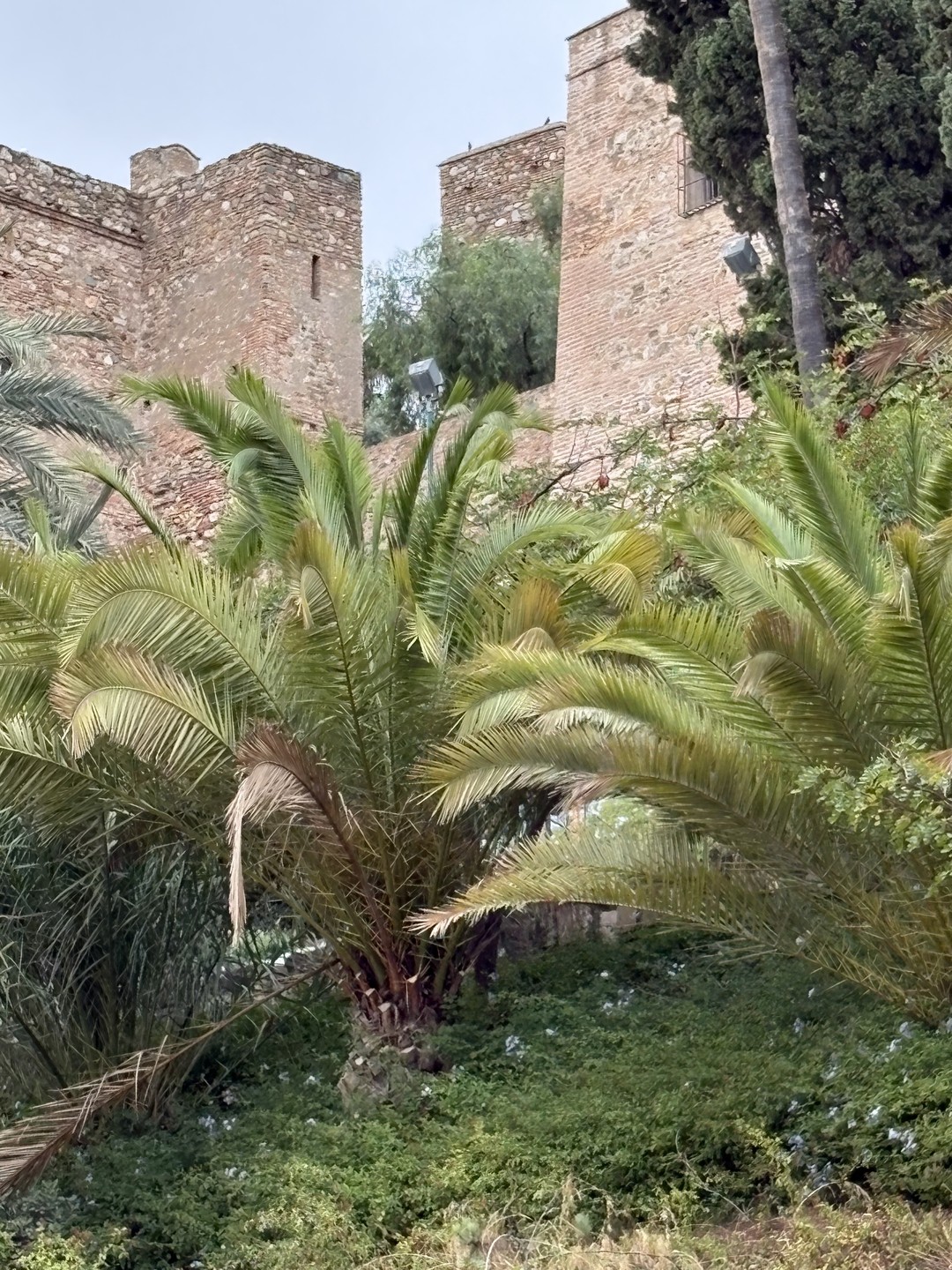 Пешком по Старой Малаге (Tanya)