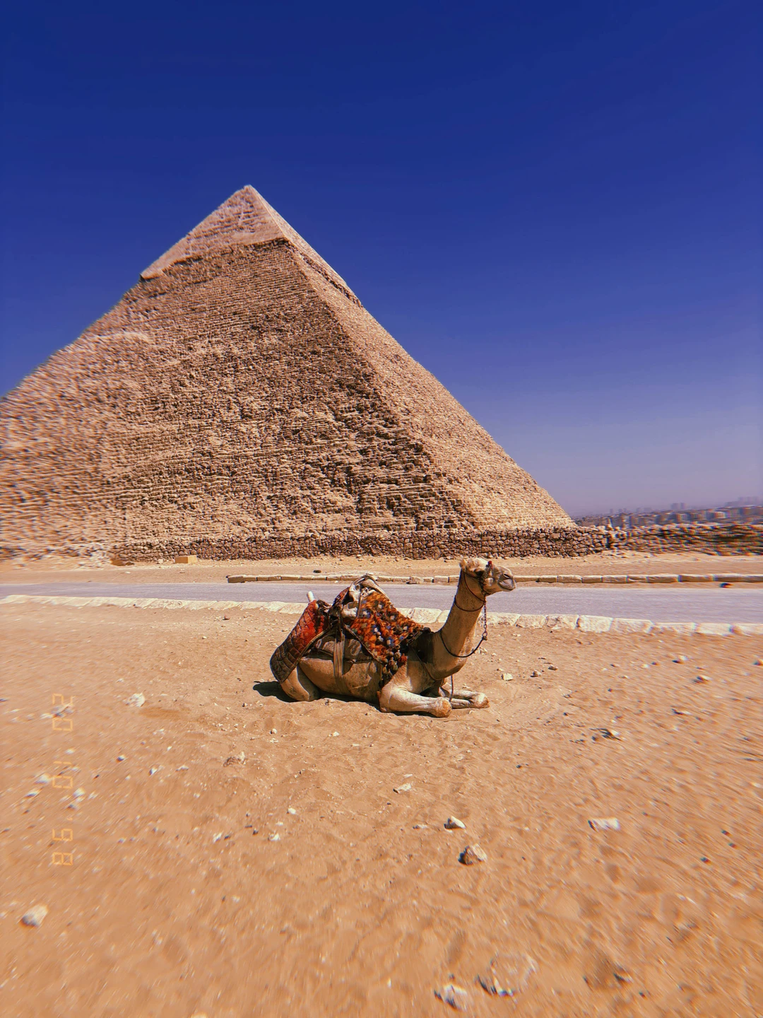 По следам фараонов. Групповая автобусная экскурсия в Каир (Ксения)