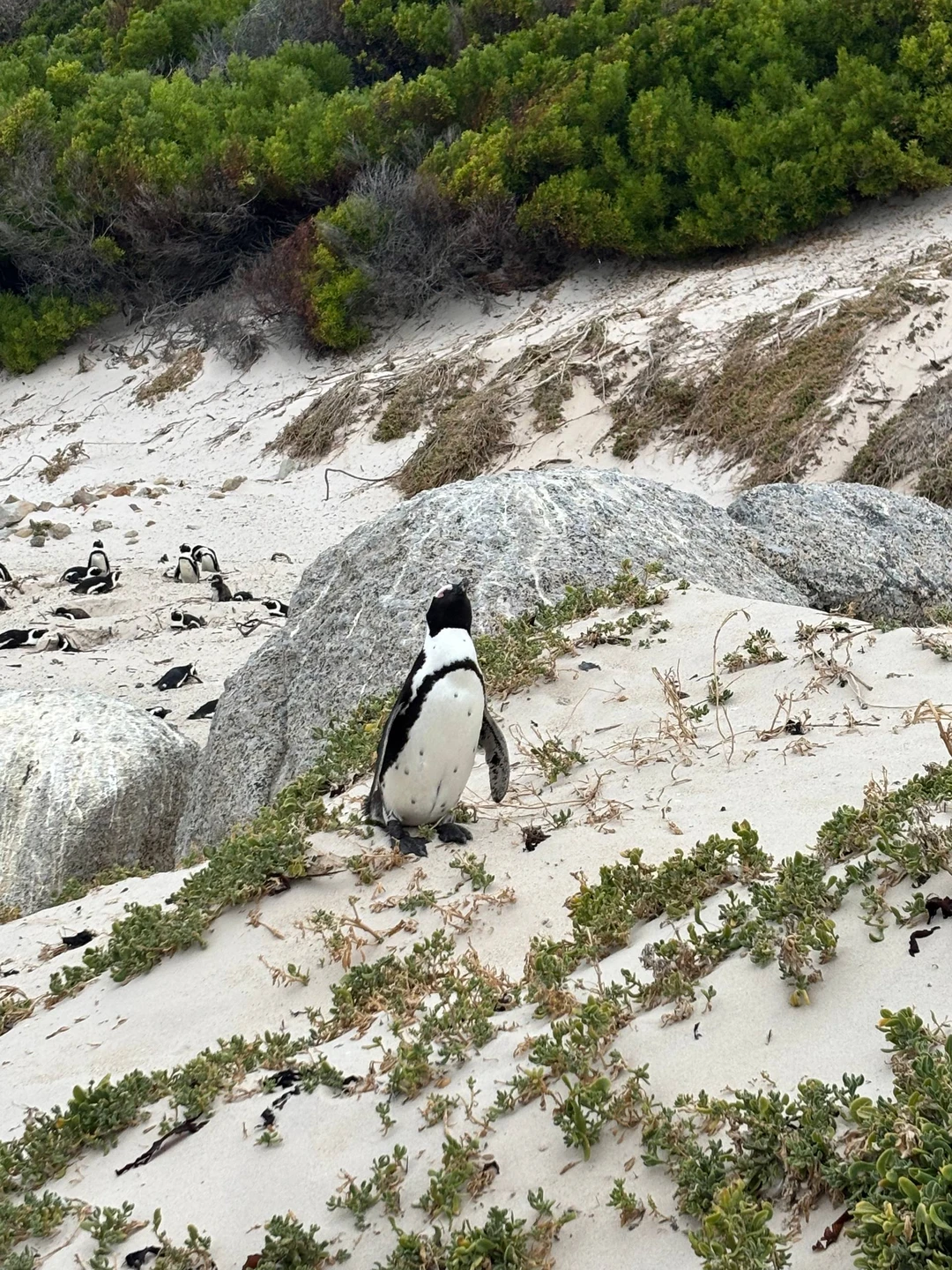 Спасибо Юлии за прекрасную обзорную экскурсию! Ожидания оправдались на все 100%. К небольшому сожалению, в день