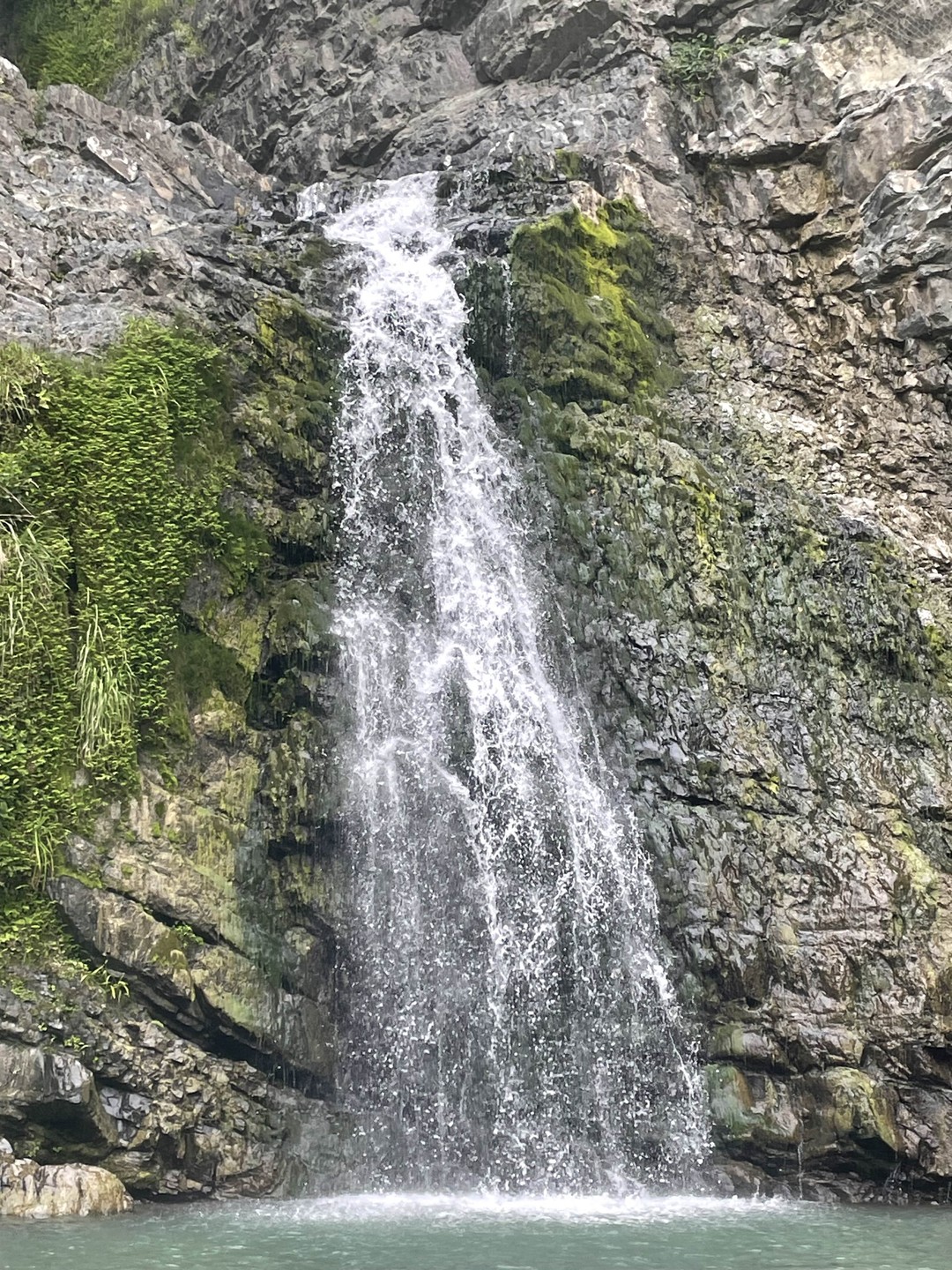 Крайне компетентный гид. Любит свою работу и получает удовольствие вместе с вами. В первые несколько час