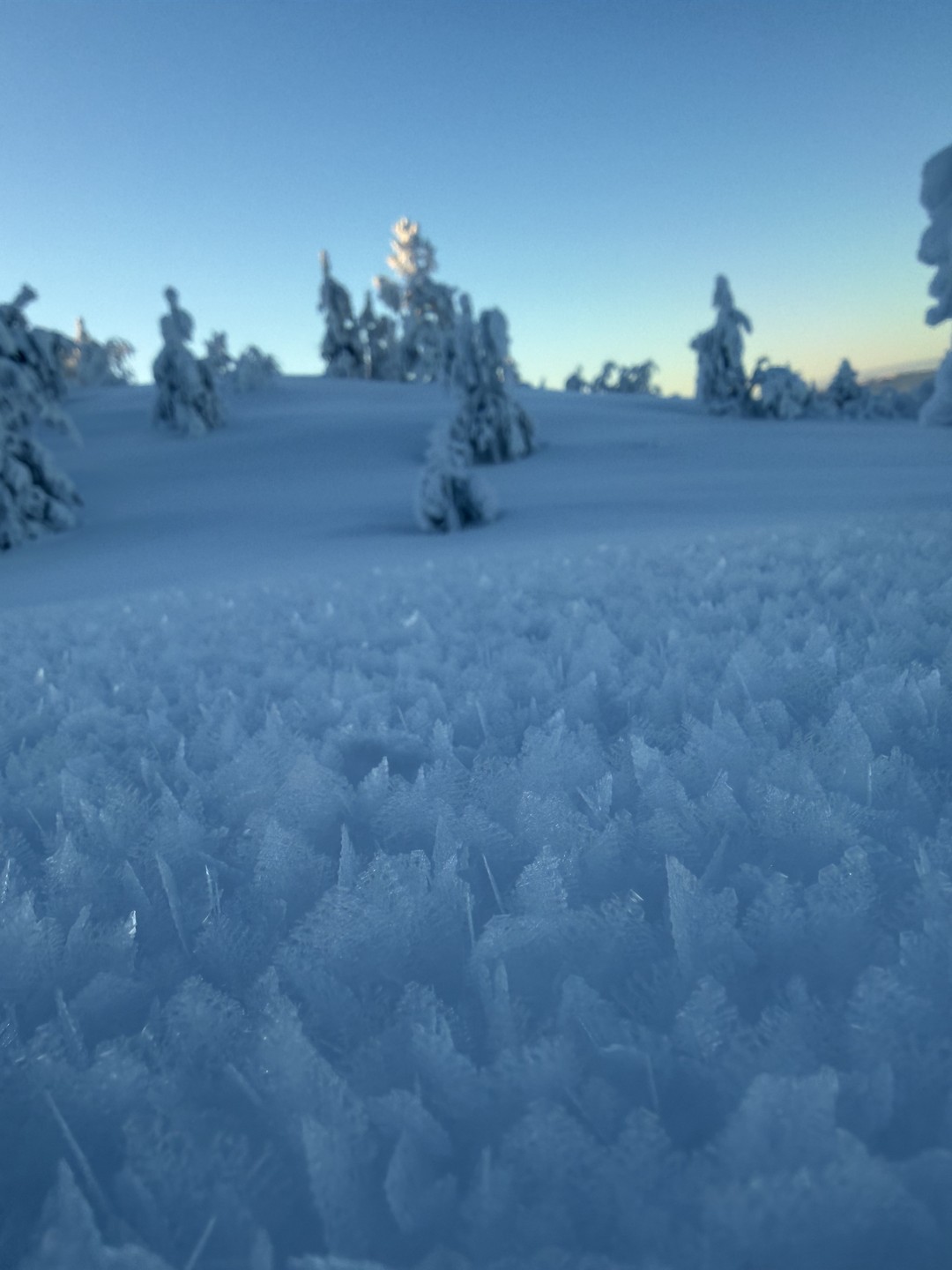 Если вы хотите погрузиться в настоящую зимнюю сказку и увидеть своими глазами красоту Русского Севера, вам