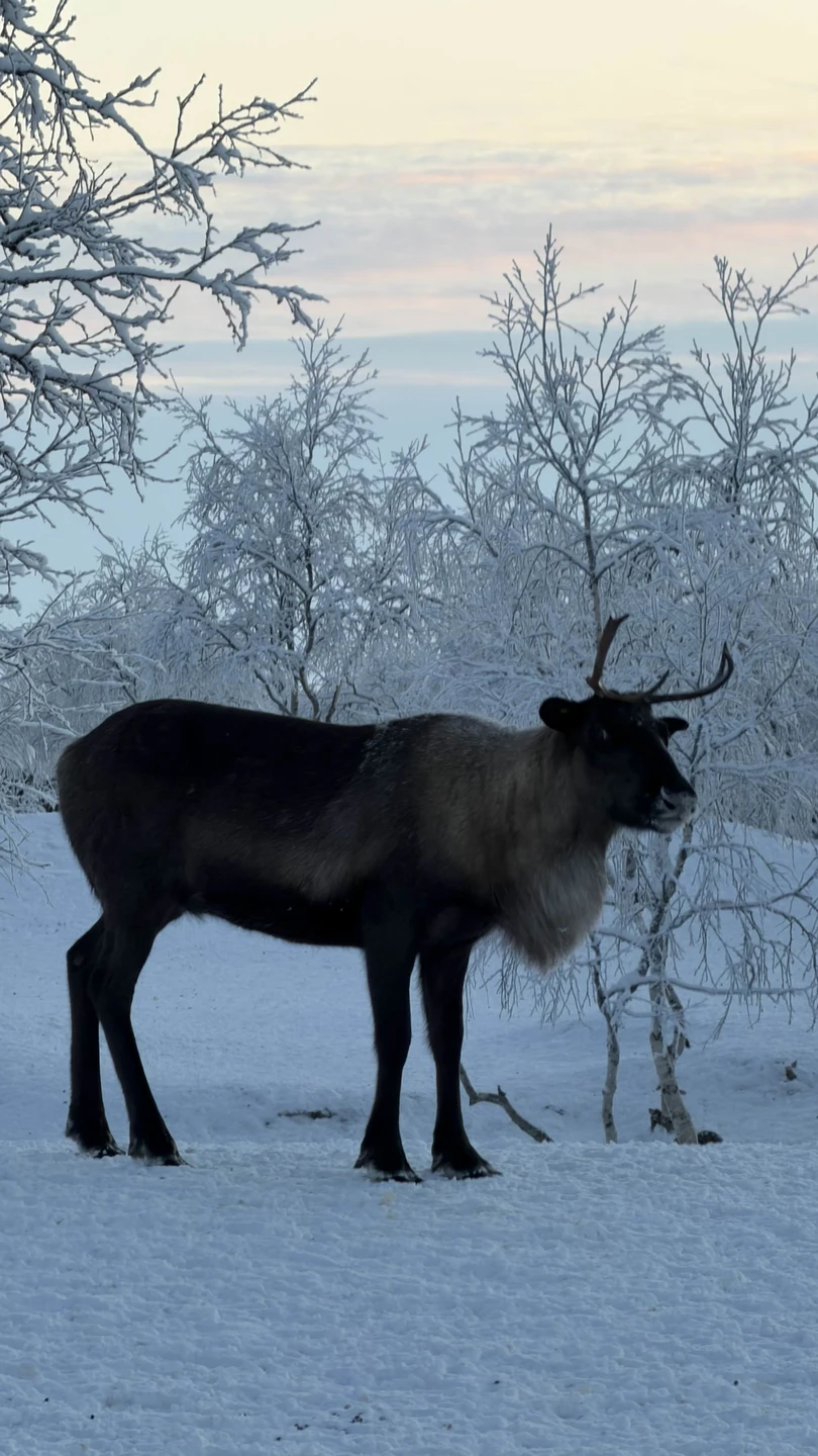 Федор отличный гид, душевный человек. Все было не обычно, все понравилось. Еда отличная, баня супер!