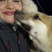 Фото отзыва 1: экскурсия "Териберка: дыхание Ледовитого океана"