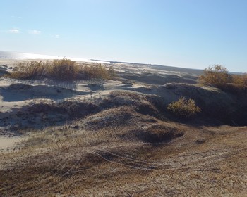 Куршская коса и Зеленоградск