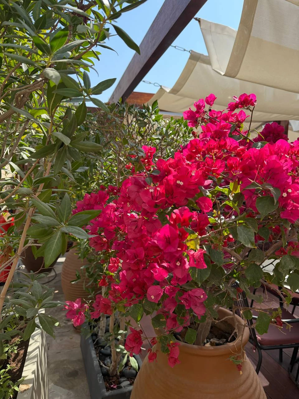 Очень понравилось