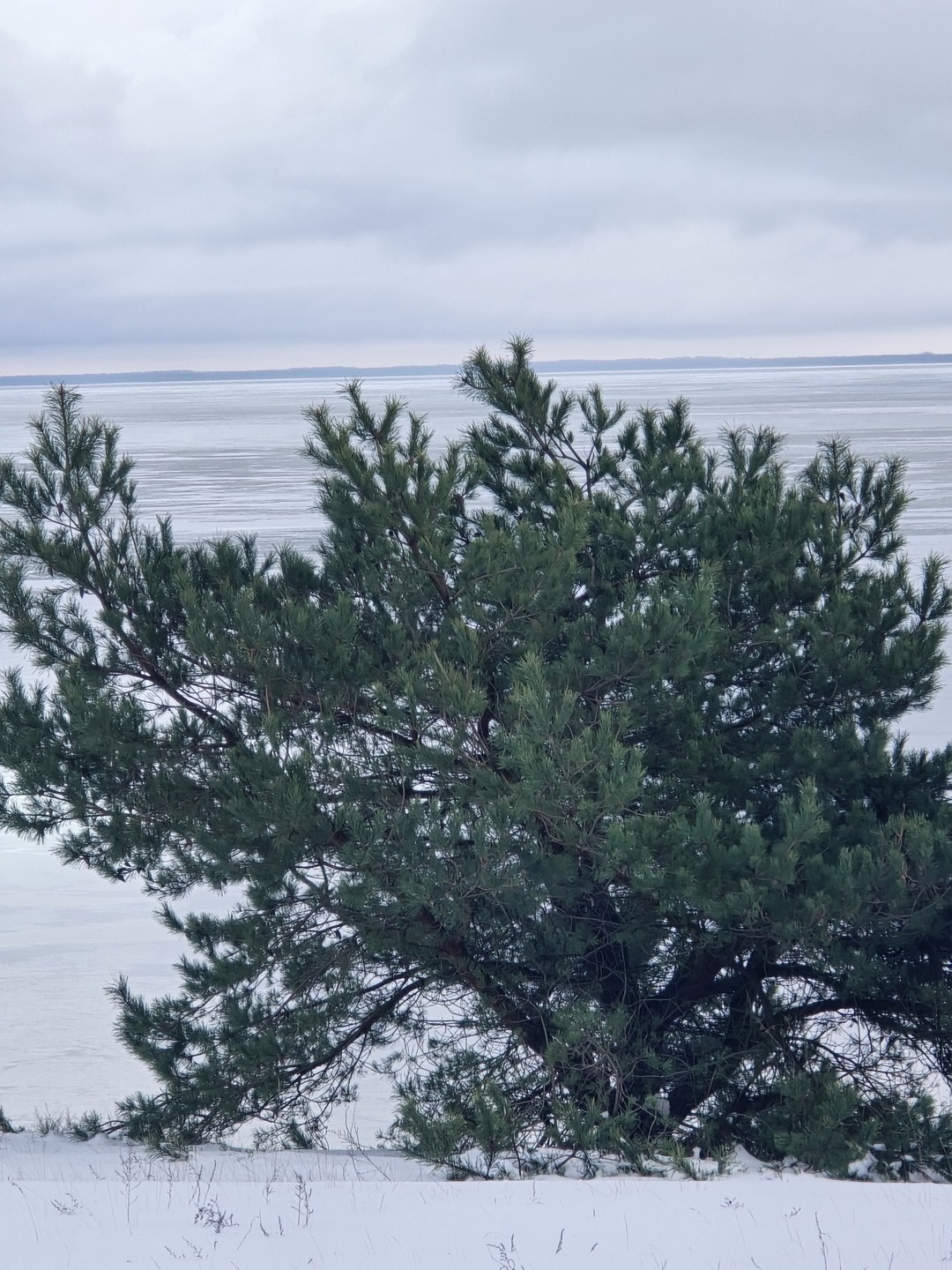 Достаточно только этой экскурсии, потому что даже янтарь меркнет перед этими местами! А с учётом, что